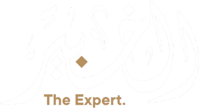 Alaa Masoud - The Expert